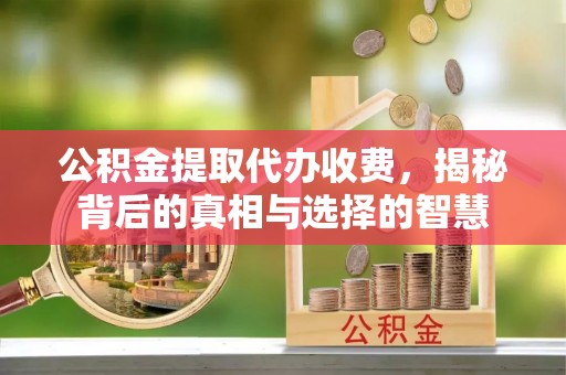 樊城公积金提取代办收费，揭秘背后的真相与选择的智慧