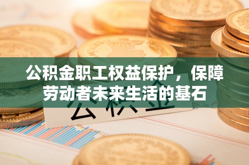 樊城公积金职工权益保护，保障劳动者未来生活的基石