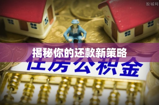 樊城揭秘你的还款新策略