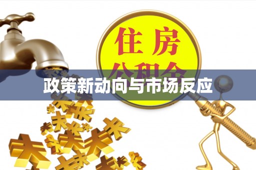 樊城政策新动向与市场反应