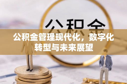 樊城公积金管理现代化，数字化转型与未来展望