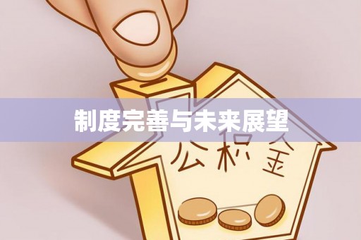 樊城制度完善与未来展望