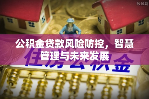 樊城公积金贷款风险防控，智慧管理与未来发展