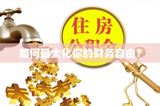 樊城如何最大化你的财务自由？