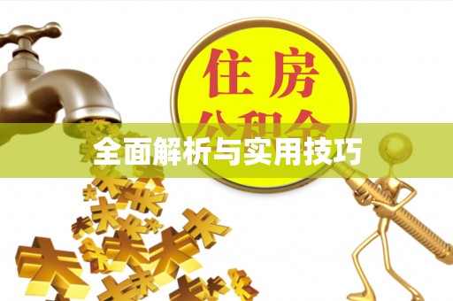 樊城全面解析与实用技巧