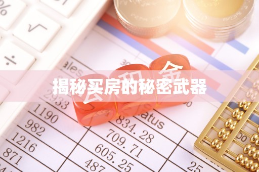 樊城揭秘买房的秘密武器