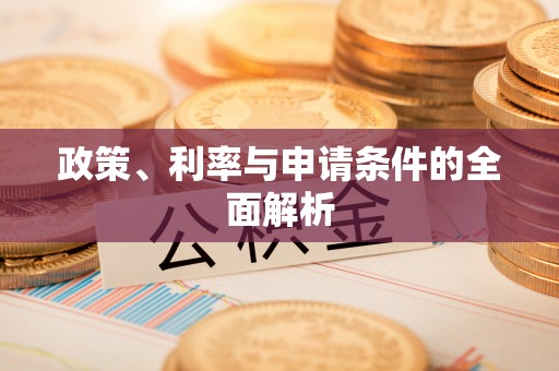 樊城政策、利率与申请条件的全面解析