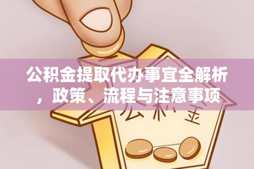 樊城公积金提取代办事宜全解析，政策、流程与注意事项