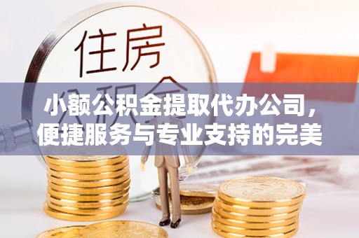 樊城小额公积金提取代办公司，便捷服务与专业支持的完美结合