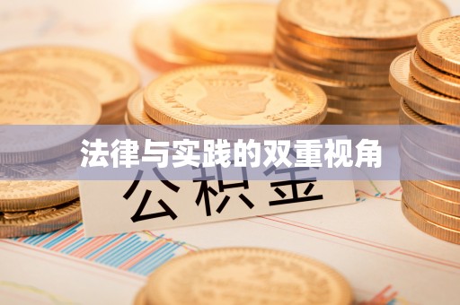 樊城法律与实践的双重视角
