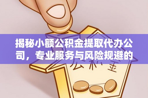 樊城揭秘小额公积金提取代办公司，专业服务与风险规避的平衡艺术