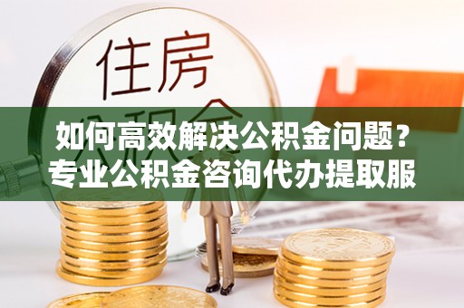 樊城如何高效解决公积金问题？专业公积金咨询代办提取服务来帮你