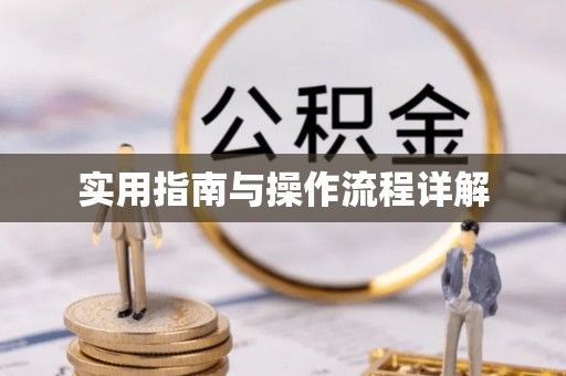 樊城实用指南与操作流程详解