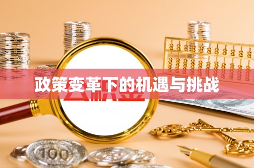 樊城政策变革下的机遇与挑战