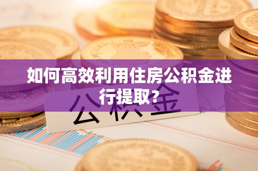 樊城如何高效利用住房公积金进行提取？