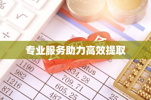 樊城专业服务助力高效提取