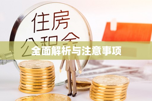 樊城全面解析与注意事项