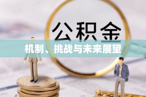 樊城机制、挑战与未来展望